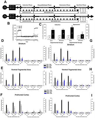 Mirtazapine decreased cocaine-induced c-fos expression and dopamine release in rats